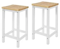 Lot De 2 Chaises FST29-WNx2