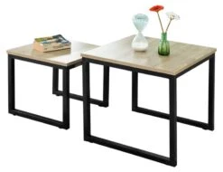 Lot De 2 Tables Basses Gigognes FBT42-HG 17 Lot De 2 Tables Basses Gigognes FBT42-HG -Sobuy c1fbd790c89c482481f6b2c66282beec.cropped 11 241 1564 1206.processed